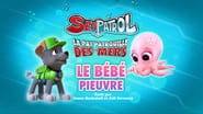 La Pat'Patrouille season 4 episode 17