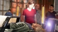 Stargate : Atlantis season 2 episode 16