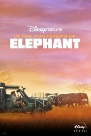 poster In the Footsteps of Elephant