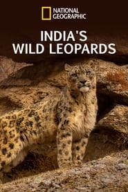 India’s Wild Leopards 2020 Soap2Day