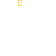 Logo of King Of Coke: Living The High Life image size 1299x1300