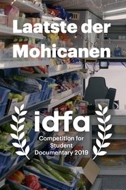 poster Laatste der Mohikanen