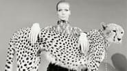 Veruschka - poesia di una donna wallpaper 