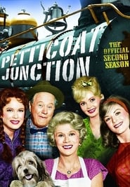 Serie streaming | voir Petticoat Junction en streaming | HD-serie