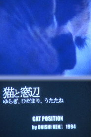 Cat Position poster