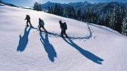 Backdrop of Winter Essentials image size 1280x720