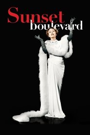 Sunset Boulevard 1950 123movies