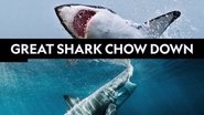 Backdrop of Great Shark Chow Down image size 1600x900