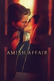 poster Amish Affair