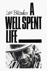 Poster of A Well Spent Life image size 960x1440