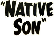 Logo of Native Son image size 810x550