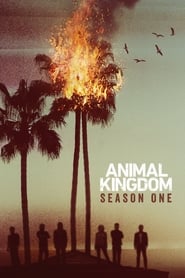 Animal Kingdom Serie en streaming