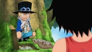 One Piece season 13 episode 494
