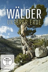 poster Wälder unserer Erde