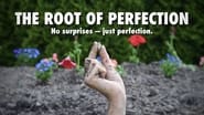 The Root of Perfection wallpaper 