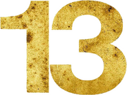Logo of 13 image size 487x367