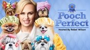 Backdrop of Pooch Perfect image size 3840x2160
