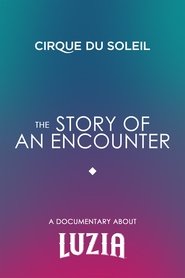 poster The Story Of An Encounter