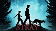 The Stray wallpaper 