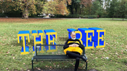Logo of The Bee image size 3000x1687