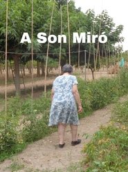 poster A Son Miró