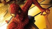 Spider-Man wallpaper 