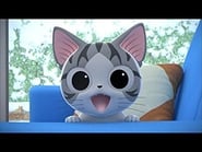 Chi mon chaton season 1 episode 14