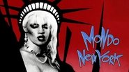 Backdrop of Mondo New York image size 1920x1080