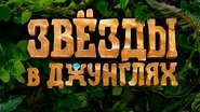 Звёзды в джунглях  