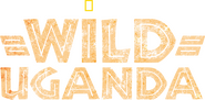 Logo of Wild Uganda image size 2623x1293