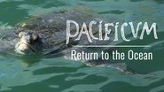 Backdrop of Pacificum: Return to the Ocean image size 1280x720