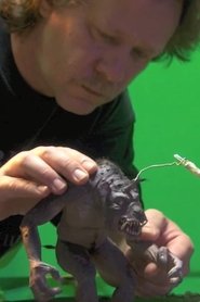 Cuộc Phiêu Lưu Thứ 5 Của Sinbad