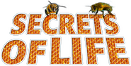 Logo of Secrets of Life image size 587x297