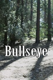 Bullseye