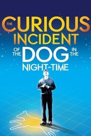 poster National Theatre Live: The Curious Incident of the Dog in the Night-Time