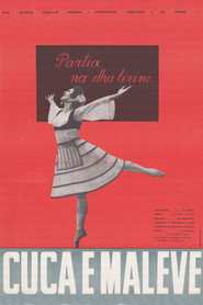 poster The Girl of the Mountains