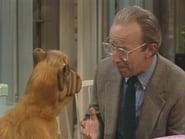 Alf season 4 episode 6