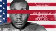 The Blinding of Isaac Woodard wallpaper 