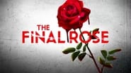 The Final Rose wallpaper 
