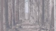 Backdrop of We Spent Friday the 13th at Crystal Lake - NOT CLICKBAIT image size 1280x720
