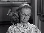 The Beverly Hillbillies season 1 episode 31