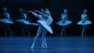 The Bolshoi Ballet: Swan Lake wallpaper 