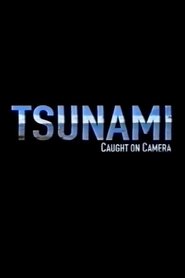 poster Tsunami: Caught on Camera