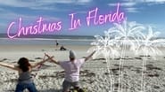 Christmas In Florida wallpaper 