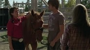 serie Heartland saison 3 episode 12 en streaming