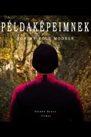 Példaképeimnek