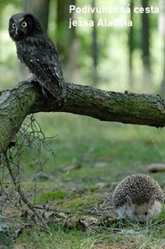gallery-thumbnail
