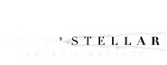 Logo of Interstellar: Nolan's Odyssey image size 1439x557
