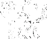Logo of The Big Hit image size 653x537