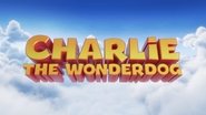 Charlie the Wonderdog wallpaper 
